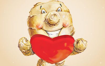 Love Ginger, Love Your Heart